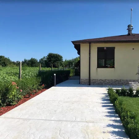 Vilă къща за гости, Gotinoto